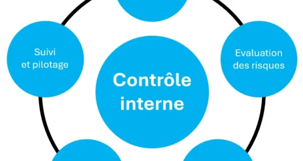 5-piliers-du-controle-interne-768x714
